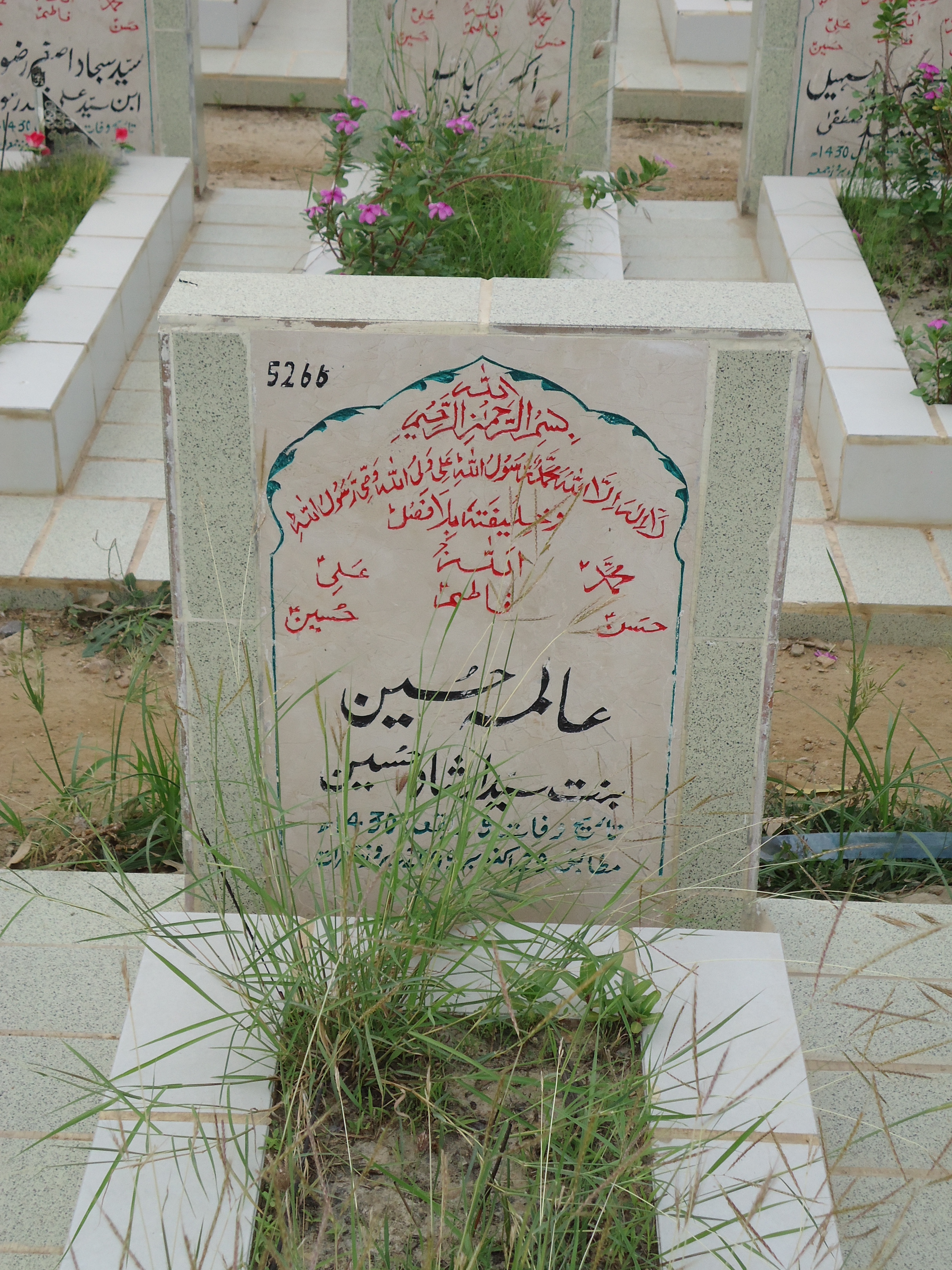 5266 – Aalima Hussain